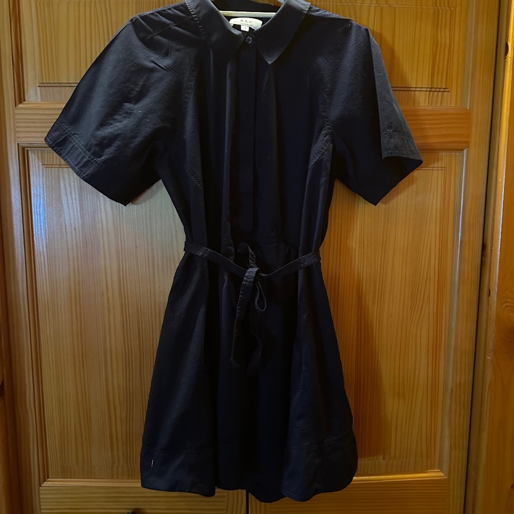 ALC Julie dress still in stores sz 10 - STILL IN STORES